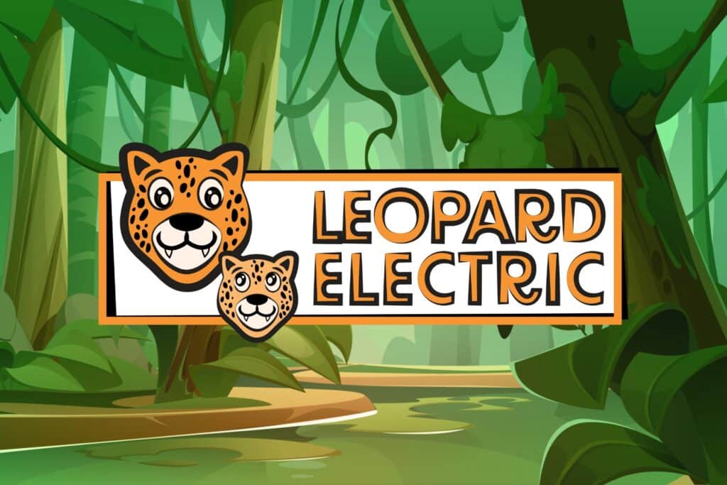 About Us Leopard Electric